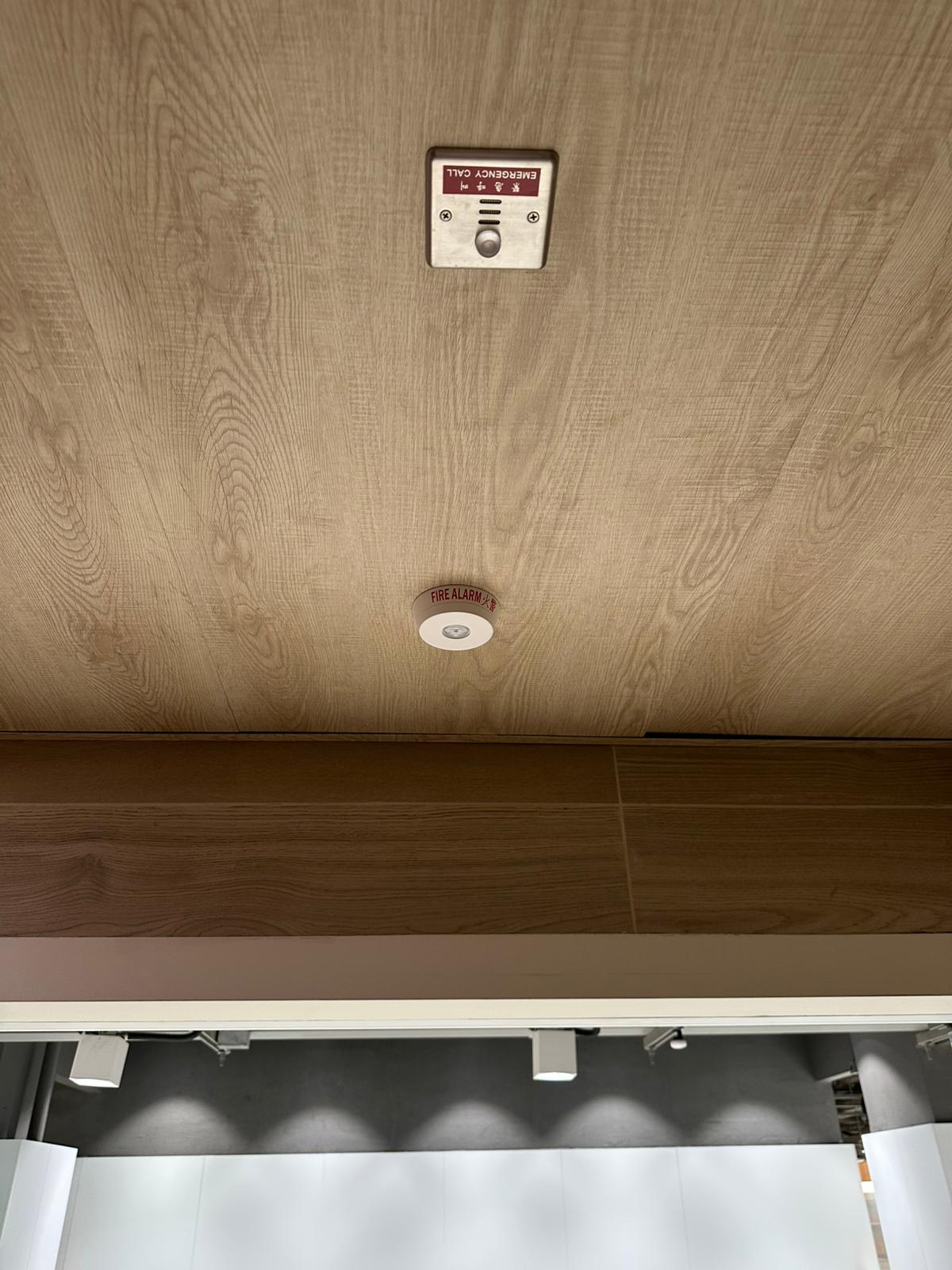 WhatsApp Image 2024-12-13 at 10.17.16.jpeg